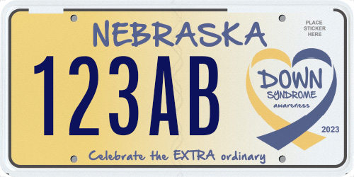Down Syndrome Awareness plate from the catalog.